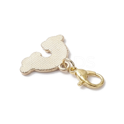 Rainbow Alloy Enamel Pendant Decorations HJEW-JM04116-1