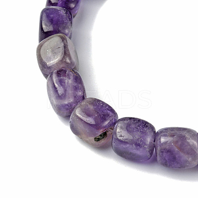 Natural Amethyst Beads Strands G-F743-02T-1