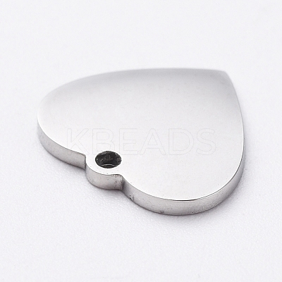 Non-Tarnish 304 Stainless Steel Stamping Blank Tag Charms STAS-G215-12-P02-1