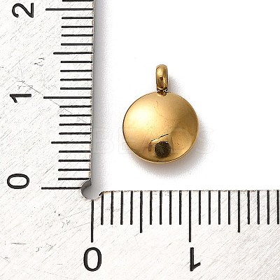 304 Stainless Steel Black Enamel Charms STAS-R009-01G-W-1