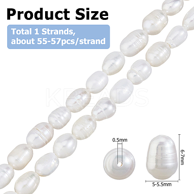 1 Strand Natural Cultured Freshwater Pearl Beads Strands PEAR-HS0001-18-1