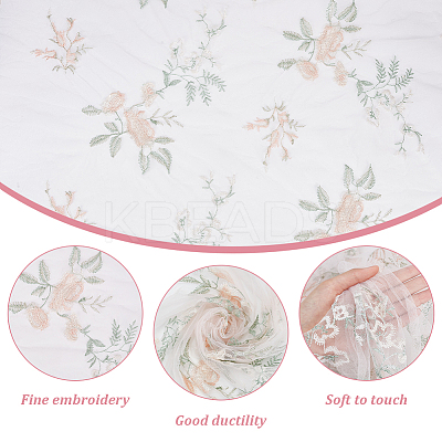 Mesh Embroidered Lace Fabric OCOR-WH0082-22-1