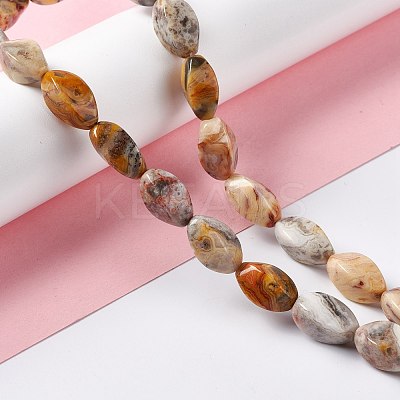Natural Crazy Lace Agate Beads Strands G-L243A-20-1
