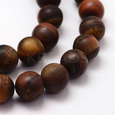 Frosted Natural Tiger Eye Beads Strands G-F364-18-10mm-1