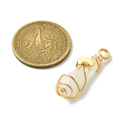 2Pcs Electroplated Natural Quartz Crystal Dyed Copper Wire Wrapped Pendants PALLOY-JF03163-01-1