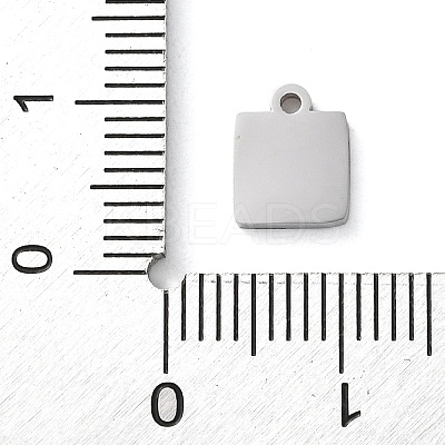 Non-Tarnish 304 Stainless Steel Charms STAS-N104-07P-1