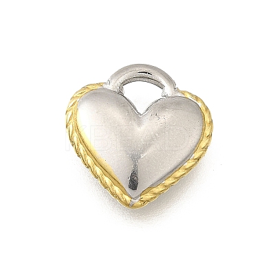 304 Stainless Steel Charms STAS-K252-07PG-1