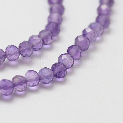 Natural Amethyst Bead Strands G-P271-3mm-09-1