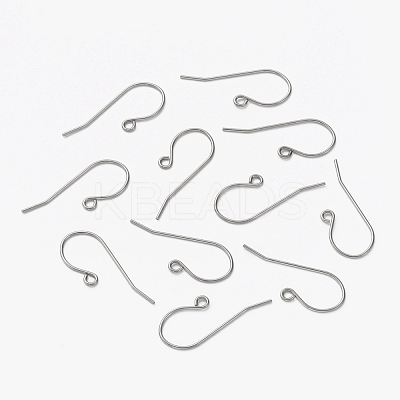 Tarnish Resistant 304 Stainless Steel Earring Hooks X-STAS-L253-004P-1
