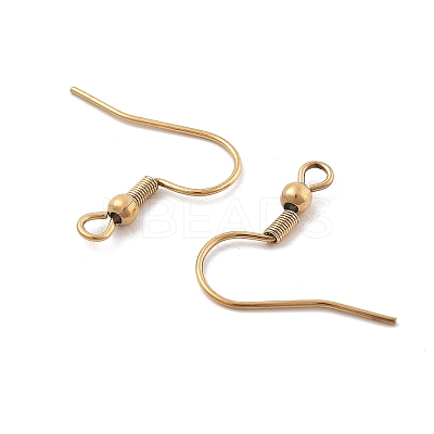 316 Surgical Stainless Steel Earring Hooks X-STAS-M288-06G-B-1