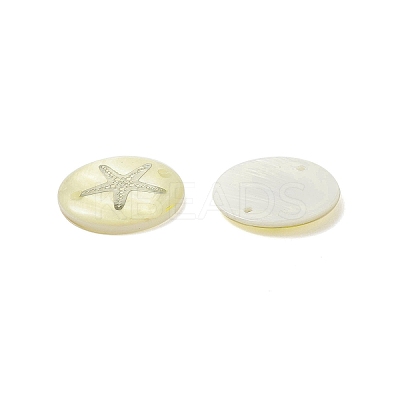 Natural Freshwater Shell Connector Charms LS-SHEL-XCP0001-05-1