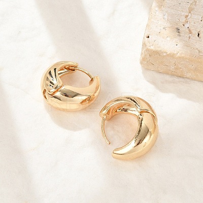 Brass Hoop Earrings for Women LS-EJEW-U041-02G-1