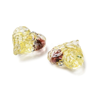 Inner Dried Flower Transparent Resin Pendants RESI-A043-03B-1
