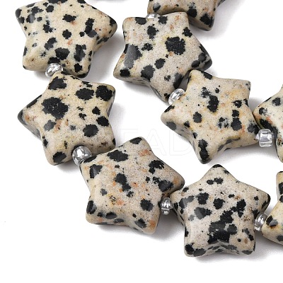 Natural Dalmatian Jasper Beads Strands G-K359-E12-1