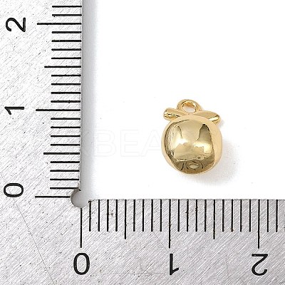 Brass Micro Pave Clear Cubic Zirconia Charms KK-G545-18G-1