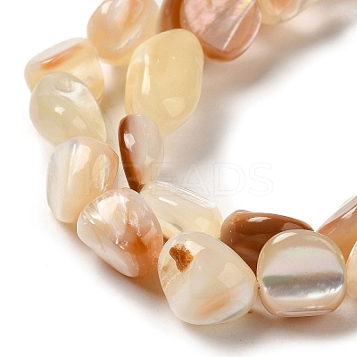 Natural Sea Shell Beads Strands SHEL-K006-16B-1