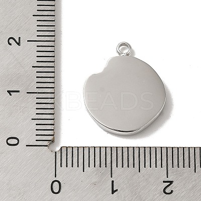 304 Stainless Steel Pendants STAS-B074-08P-06-1