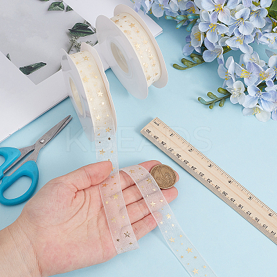 Polyester Ribbon OCOR-CY0003-69-1