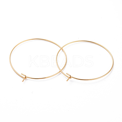 316 Surgical Stainless Steel Hoop Earring Findings LS-STAS-J025-01E-G-1