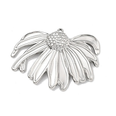 304 Stainless Steel Big Pendants SA-B006-02P-C-1