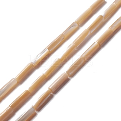 Natural Trochid Shell/Trochus Shell Beads SSHEL-O001-26A-1