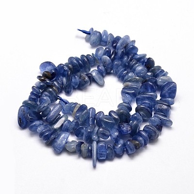 Natural Kyanite/Cyanite/Disthene Chip Beads Strands X-G-E271-78-1