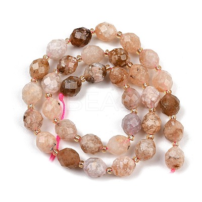Natural Cherry Blossom Agate Beads Strands G-N342-149I-18-1