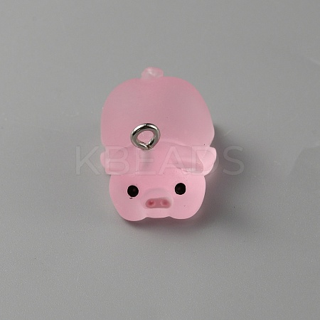Luminous Translucent Resin Pendants RESI-SZC0004-01B-1