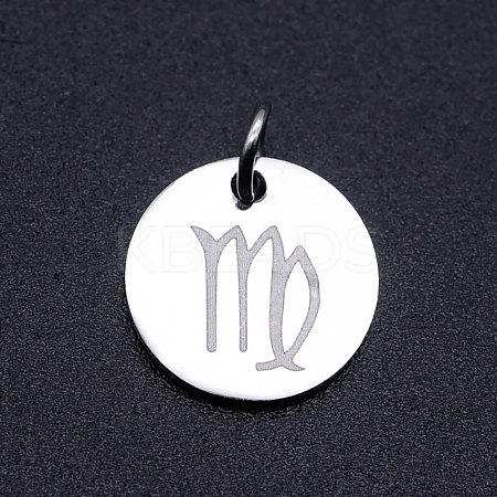 Non-Tarnish 201 Stainless Steel Charms STAS-T049-T643-6P-1