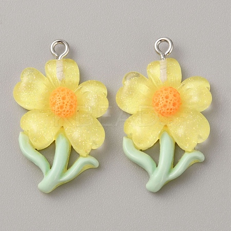 Translucent Resin Pendants RESI-TAC0004-32P-01-1