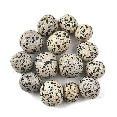 Natural Dalmatian Beads G-G348-01B-48-1