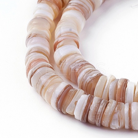 Shell Beads Strands SSHEL-E571-49D-1