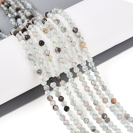 Natural Green Lodolite Quartz/Garden Quartz Beads Strands G-T143-01-1