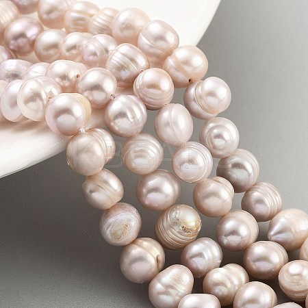Natural Cultured Freshwater Pearl Beads Strands PEAR-C003-01D-1