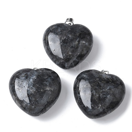 Natural Larvikite Pendants G-A259-02P-01-1