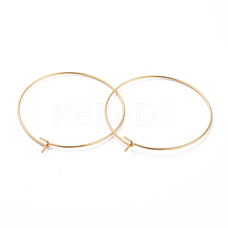 316 Surgical Stainless Steel Hoop Earring Findings LS-STAS-J025-01E-G-1