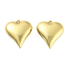 Rack Plating Eco-Friendly Brass Pendants KK-M255-10G-1