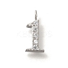 304 Stainless Steel Micro Pave Cubic Zirconia Pendants STAS-H228-01P-01-1