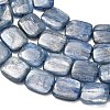 Natural Kyanite Beads Strands G-H335-I01-10x12mm-4