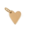 304 Stainless Steel Charms STAS-L291-01G-I-1