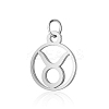 Non-Tarnish 304 Stainless Steel Charms STAS-T036-T513-A2-1