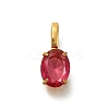 Ion Plating(IP) 304 Stainless Steel Rhinestone Pendants X-STAS-A104-11G-06-1