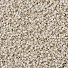 MIYUKI Delica Beads SEED-X0054-DB1451-3