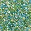Glass Seed Beads SEED-L011-05B-02-3