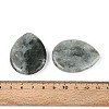 Natural Labradorite Worry Stones for Anxiety G-T144-13J-3