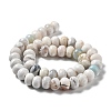 Natural Dyed Agate Imitation Turquoise Beads Strands G-P425-01B-01A-3