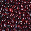 Glass Seed Beads SEED-T009-02D-3