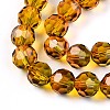 Baking Paint Transparent Glass Beads Strands DGLA-A035-T10mm-A05-4