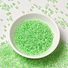8/0 Transparent Glass Seed Beads SEED-F003-03B-13-2