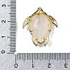 Natural Moonstone Pendants G-U019-02G-03-3